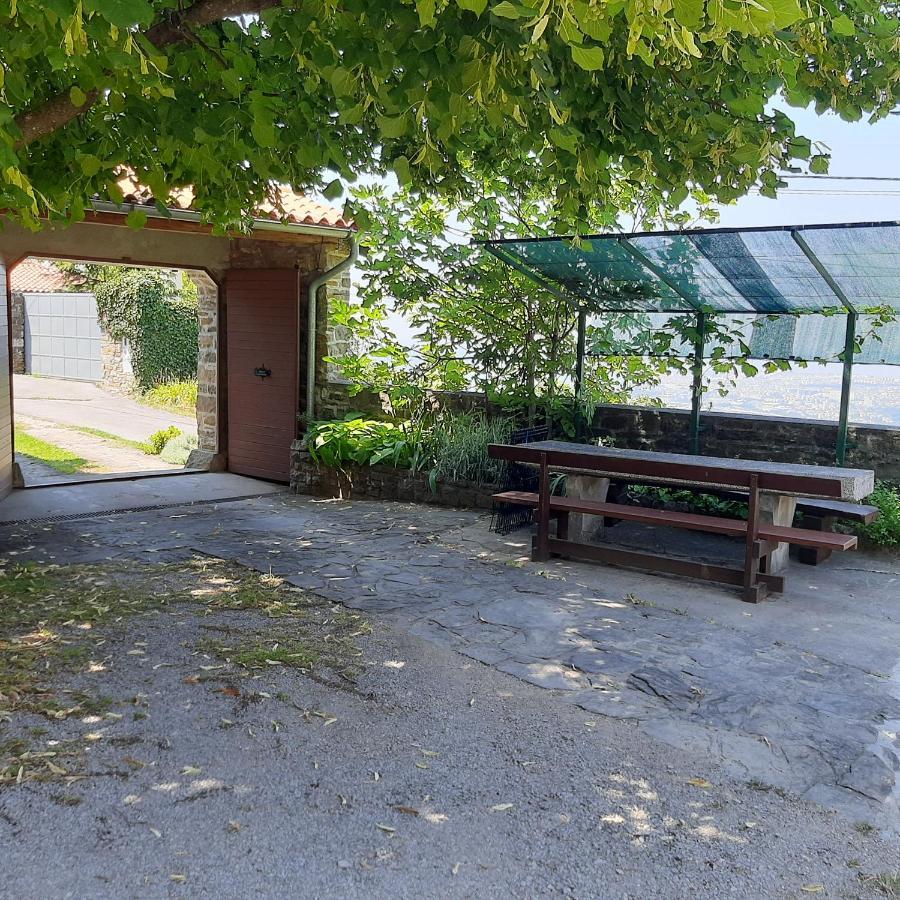 Violet'S Place Črni Kal Екстериор снимка